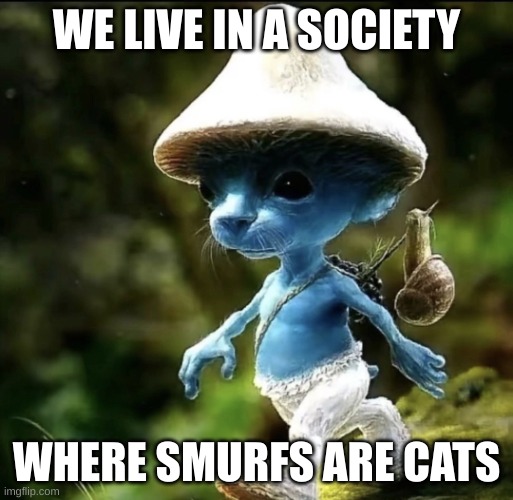 Blue Smurf cat | WE LIVE IN A SOCIETY; WHERE SMURFS ARE CATS | image tagged in blue smurf cat | made w/ Imgflip meme maker