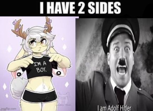 I have 2 sides | image tagged in i have 2 sides | made w/ Imgflip meme maker