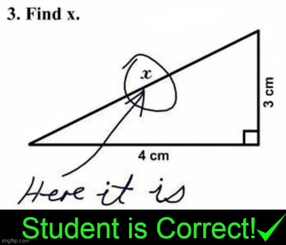 Too bad math is not this easy :) | Student is Correct! | image tagged in fun,kids,funny kids,school memes,math,funny test answers | made w/ Imgflip meme maker