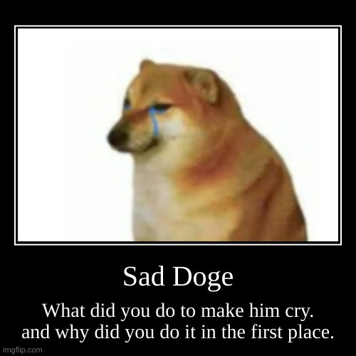 Sad Doge | What did you do to make him cry. and why did you do it in the first place. | image tagged in funny,demotivationals | made w/ Imgflip demotivational maker