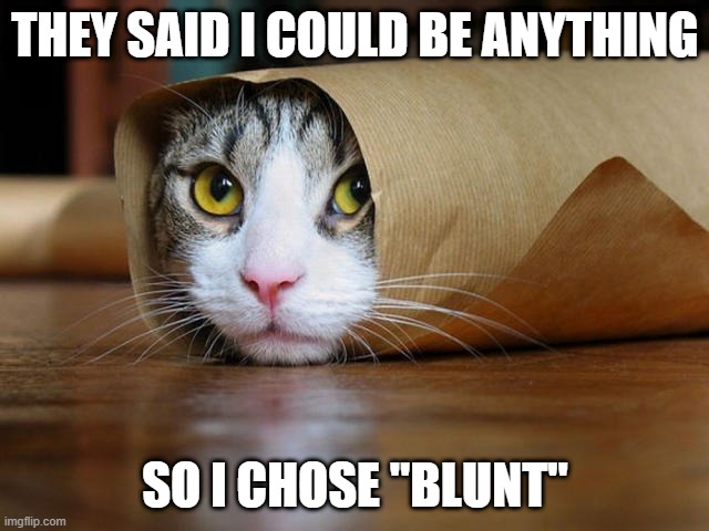 Cat Blunt | THEY SAID I COULD BE ANYTHING; SO I CHOSE "BLUNT" | image tagged in cats | made w/ Imgflip meme maker