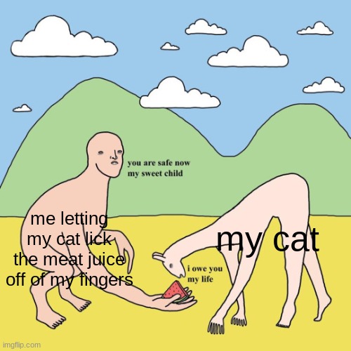 i love my cat <33 | my cat; me letting my cat lick the meat juice off of my fingers | image tagged in you are safe now my sweet child | made w/ Imgflip meme maker