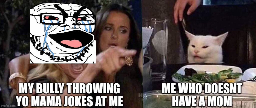 woman yelling at cat | MY BULLY THROWING YO MAMA JOKES AT ME; ME WHO DOESNT HAVE A MOM | image tagged in woman yelling at cat | made w/ Imgflip meme maker