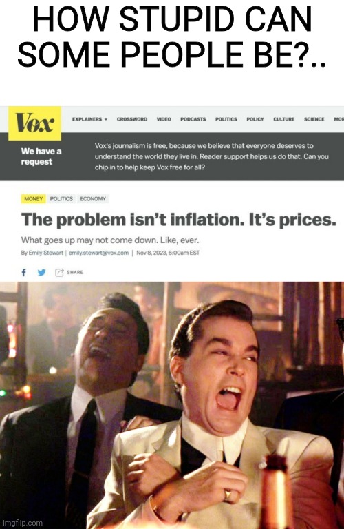 I think this will answer that question | HOW STUPID CAN SOME PEOPLE BE?.. | image tagged in memes,good fellas hilarious,vox,leftists,dumbasses,inflation | made w/ Imgflip meme maker