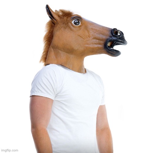 Horse mask  | image tagged in horse mask | made w/ Imgflip meme maker