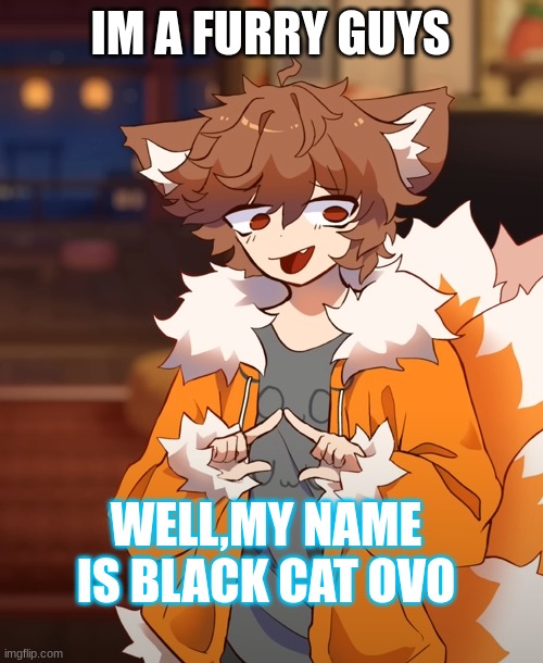 furrys | IM A FURRY GUYS; WELL,MY NAME IS BLACK CAT OVO | image tagged in gd colon mistake | made w/ Imgflip meme maker