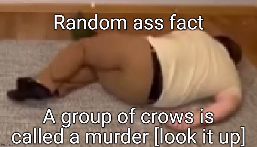 Dead | Random ass fact; A group of crows is called a murder [look it up] | image tagged in dead | made w/ Imgflip meme maker