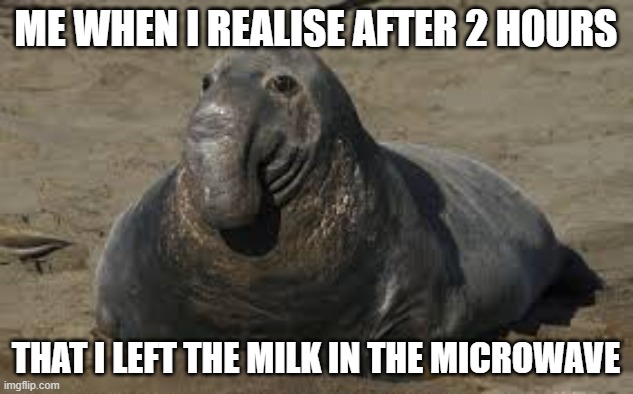 nothing to do with gameing | ME WHEN I REALISE AFTER 2 HOURS; THAT I LEFT THE MILK IN THE MICROWAVE | image tagged in elephant seal meme | made w/ Imgflip meme maker