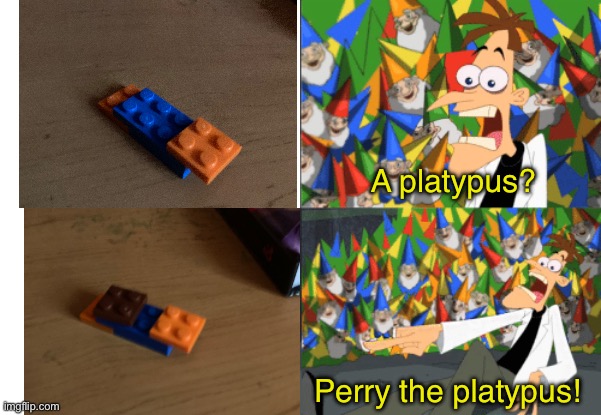 Dr. Doofenshmirtz Perry the Platypus | A platypus? Perry the platypus! | image tagged in dr doofenshmirtz perry the platypus | made w/ Imgflip meme maker
