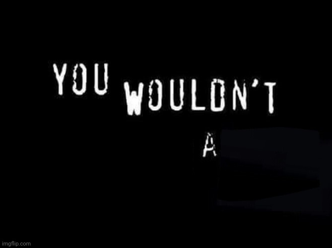 You wouldn’t X a Y | image tagged in you wouldn t x a y | made w/ Imgflip meme maker