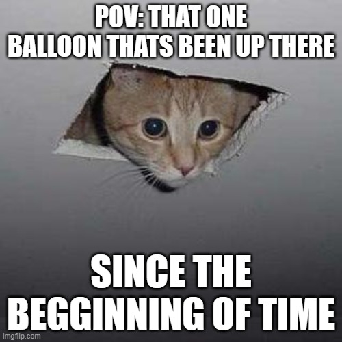 Ya its been there | POV: THAT ONE BALLOON THATS BEEN UP THERE; SINCE THE BEGGINNING OF TIME | image tagged in memes,ceiling cat | made w/ Imgflip meme maker