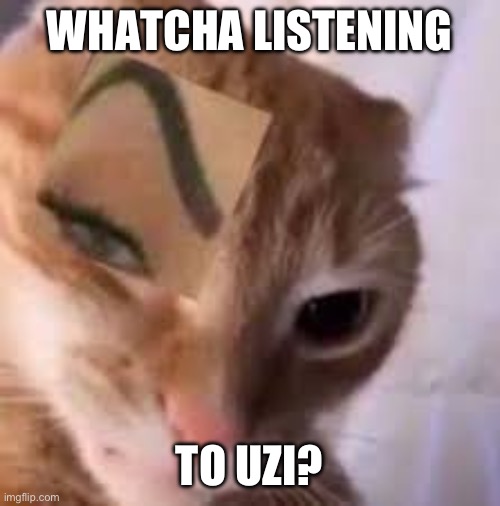 cat ayo | WHATCHA LISTENING TO UZI? | image tagged in cat ayo | made w/ Imgflip meme maker