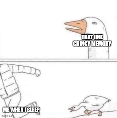 you cannot forget it | THAT ONE CRINGY MEMORY; ME WHEN I SLEEP | image tagged in goose chase,memes | made w/ Imgflip meme maker