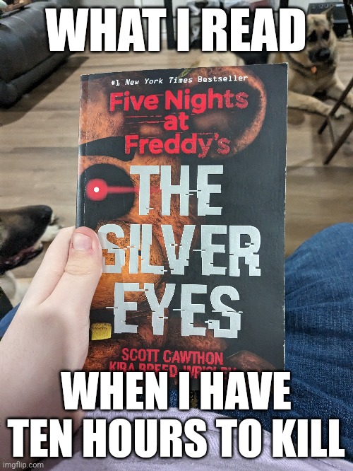 Got ten hours to kill | WHAT I READ; WHEN I HAVE TEN HOURS TO KILL | image tagged in wasting time,reading,books,fnaf | made w/ Imgflip meme maker
