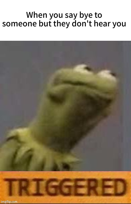 Kermit Triggered | When you say bye to someone but they don't hear you | image tagged in kermit triggered | made w/ Imgflip meme maker