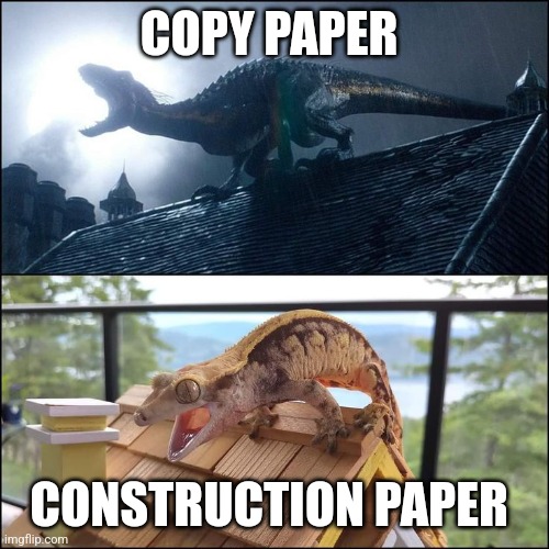 Paper is cool | COPY PAPER; CONSTRUCTION PAPER | image tagged in jurassic world expectation vs reality,paper | made w/ Imgflip meme maker