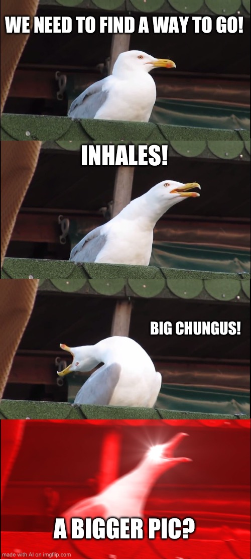 Inhaling Seagull Meme | WE NEED TO FIND A WAY TO GO! INHALES! BIG CHUNGUS! A BIGGER PIC? | image tagged in memes,inhaling seagull | made w/ Imgflip meme maker