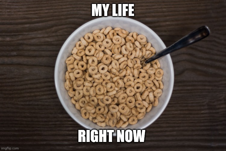 Life is like bland Cheerios | MY LIFE; RIGHT NOW | image tagged in bowl of cheerios,food memes | made w/ Imgflip meme maker