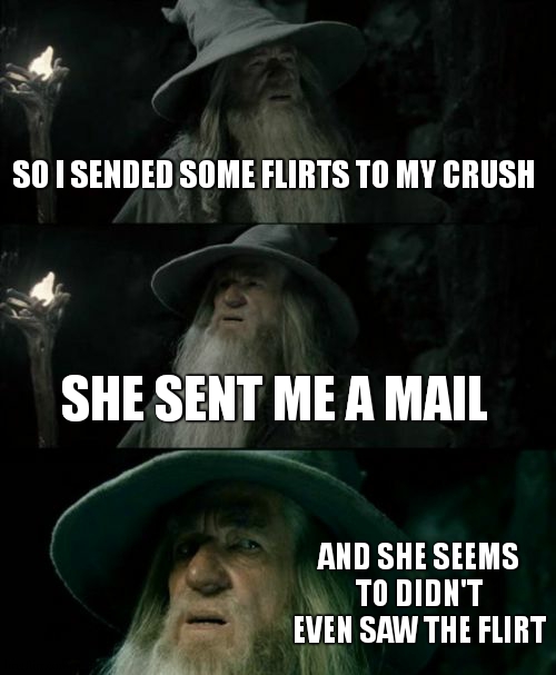 srsly I dont understand what happenned bruh | SO I SENDED SOME FLIRTS TO MY CRUSH; SHE SENT ME A MAIL; AND SHE SEEMS TO DIDN'T EVEN SAW THE FLIRT | image tagged in memes,confused gandalf | made w/ Imgflip meme maker