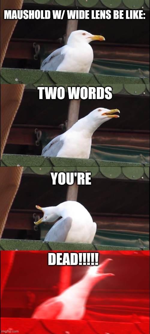 Maushold plus Wide Lens | MAUSHOLD W/ WIDE LENS BE LIKE:; TWO WORDS; YOU'RE; DEAD!!!!! | image tagged in memes,inhaling seagull | made w/ Imgflip meme maker
