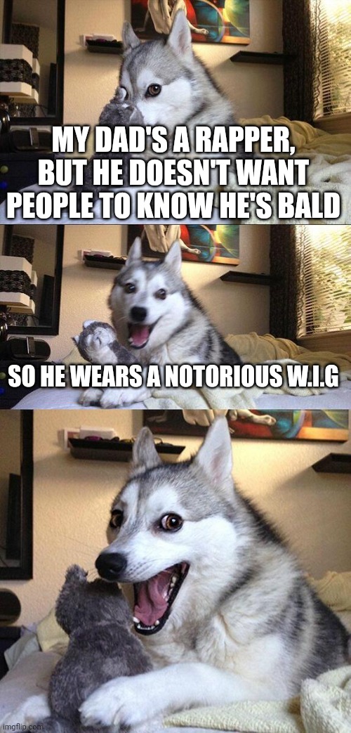 Bad Pun Dog Meme | MY DAD'S A RAPPER, BUT HE DOESN'T WANT PEOPLE TO KNOW HE'S BALD; SO HE WEARS A NOTORIOUS W.I.G | image tagged in memes,bad pun dog | made w/ Imgflip meme maker