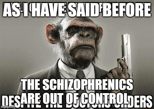 Luigichad don't you dare say the n wodr or any other slur | AS I HAVE SAID BEFORE; THE SCHIZOPHRENICS ARE OUT OF CONTROL | image tagged in monke | made w/ Imgflip meme maker