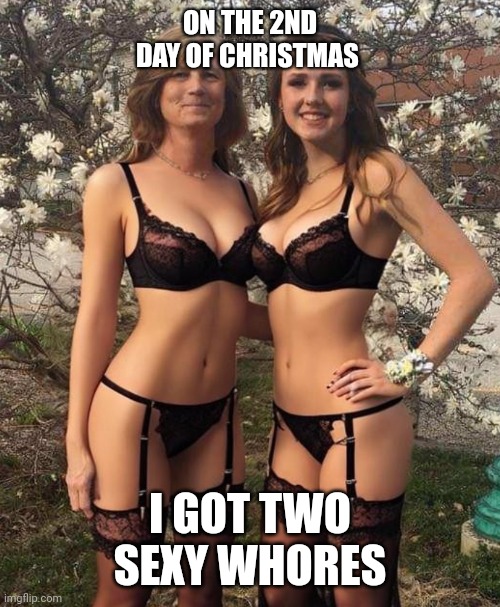 Second day of Christmas | ON THE 2ND DAY OF CHRISTMAS; I GOT TWO SEXY WHORES | image tagged in two for tuesday,sluts,skanks | made w/ Imgflip meme maker