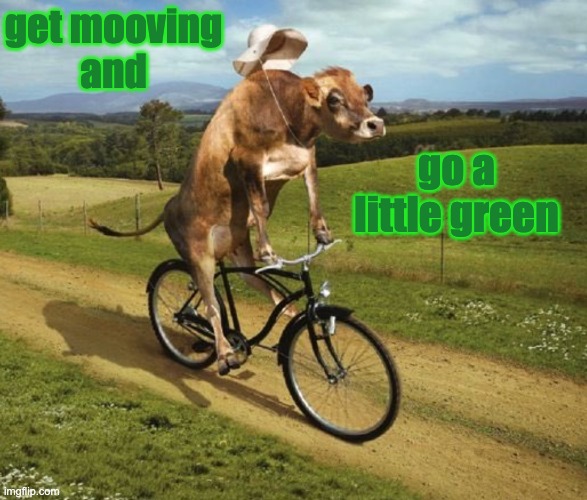Why not? What do you like to do for the environment? | get mooving
and; go a little green | image tagged in biker cow,dad joke,earth,green | made w/ Imgflip meme maker