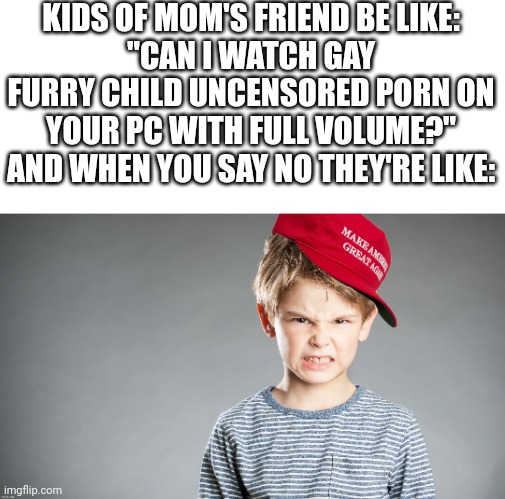 MAGA kid mad | KIDS OF MOM'S FRIEND BE LIKE:
"CAN I WATCH GAY FURRY CHILD UNCENSORED PORN ON YOUR PC WITH FULL VOLUME?" AND WHEN YOU SAY NO THEY'RE LIKE: | image tagged in maga kid mad | made w/ Imgflip meme maker