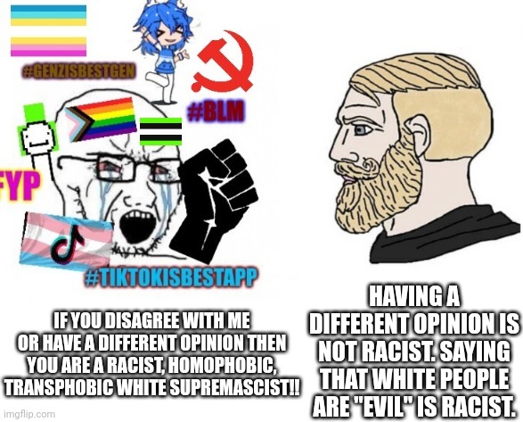 average liberal VS chad (Outdated) | IF YOU DISAGREE WITH ME OR HAVE A DIFFERENT OPINION THEN YOU ARE A RACIST, HOMOPHOBIC, TRANSPHOBIC WHITE SUPREMASCIST!! HAVING A DIFFERENT O | image tagged in average liberal vs chad outdated | made w/ Imgflip meme maker