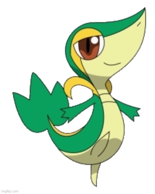 Cute snivy | image tagged in cute snivy | made w/ Imgflip meme maker