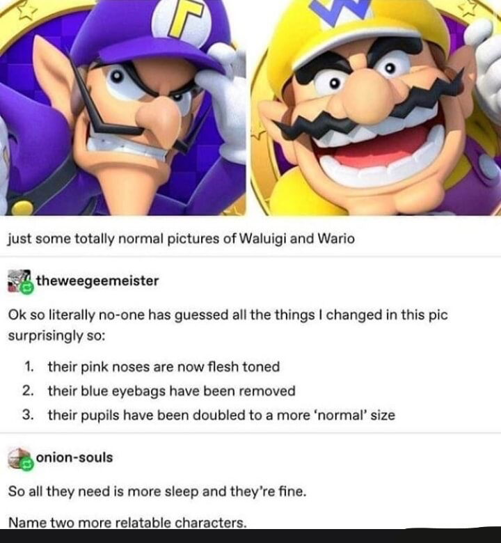 Wario and waluigi Blank Meme Template