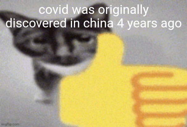 thumbs up cat | covid was originally discovered in china 4 years ago | image tagged in thumbs up cat | made w/ Imgflip meme maker