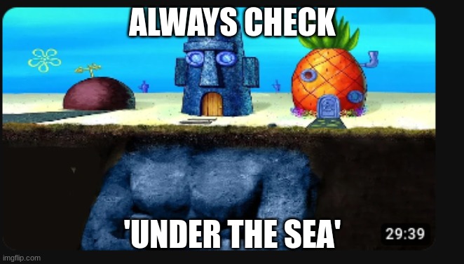 ALWAYS CHECK; 'UNDER THE SEA' | image tagged in sea | made w/ Imgflip meme maker