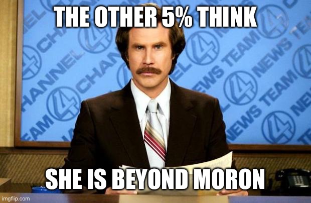 BREAKING NEWS | THE OTHER 5% THINK SHE IS BEYOND MORON | image tagged in breaking news | made w/ Imgflip meme maker
