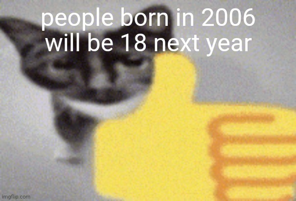 thumbs up cat | people born in 2006 will be 18 next year | image tagged in thumbs up cat | made w/ Imgflip meme maker
