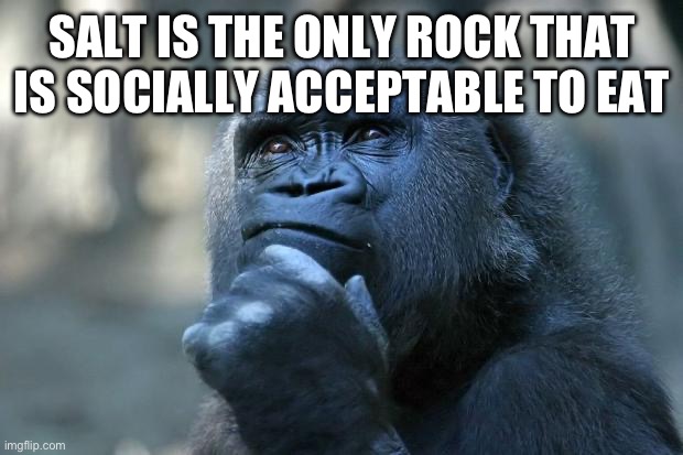 Shower thoughts be like | SALT IS THE ONLY ROCK THAT IS SOCIALLY ACCEPTABLE TO EAT | image tagged in deep thoughts,shower thoughts | made w/ Imgflip meme maker