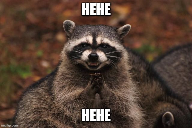 Excellent Raccoon | HEHE; HEHE | image tagged in excellent raccoon | made w/ Imgflip meme maker