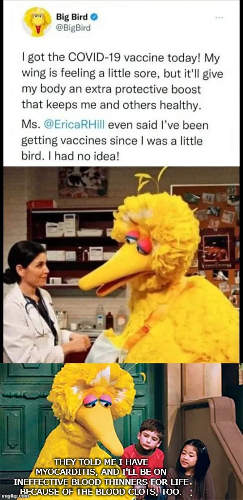 Big Bird Gets his Shots | THEY TOLD ME I HAVE MYOCARDITIS, AND I'LL BE ON INEFFECTIVE BLOOD THINNERS FOR LIFE BECAUSE OF THE BLOOD CLOTS, TOO. | made w/ Imgflip meme maker