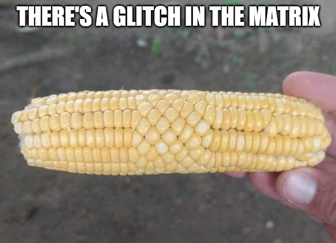 There's a glitch in the matrix | THERE'S A GLITCH IN THE MATRIX | image tagged in glitch in the matrix,kewlew | made w/ Imgflip meme maker