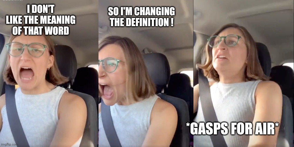 Liberal white woman meltdown | I DON'T LIKE THE MEANING OF THAT WORD SO I'M CHANGING THE DEFINITION ! *GASPS FOR AIR* | image tagged in liberal white woman meltdown | made w/ Imgflip meme maker