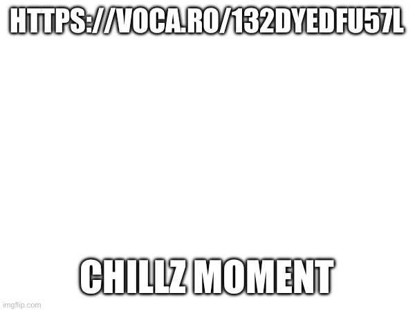 https://voca.ro/132dyeDfU57l | HTTPS://VOCA.RO/132DYEDFU57L; CHILLZ MOMENT | made w/ Imgflip meme maker