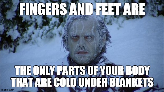Cold | FINGERS AND FEET ARE; THE ONLY PARTS OF YOUR BODY THAT ARE COLD UNDER BLANKETS | image tagged in cold | made w/ Imgflip meme maker