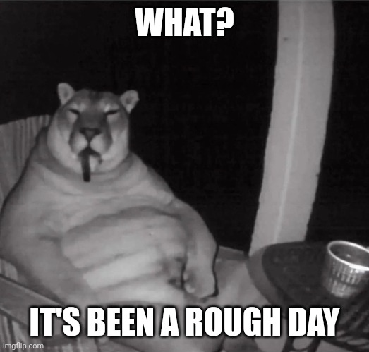 cougar smoking a cigar | WHAT? IT'S BEEN A ROUGH DAY | image tagged in cougar smoking a cigar | made w/ Imgflip meme maker