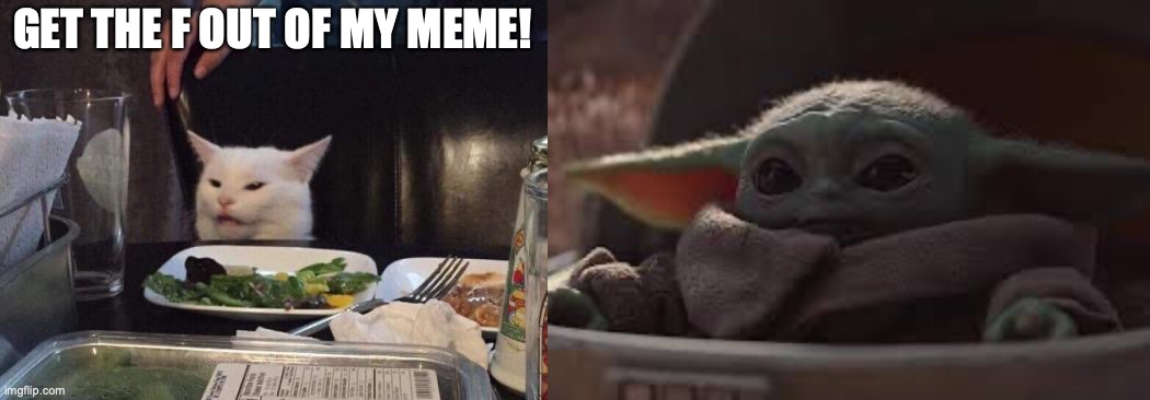 Baby Yoda Meets Smudge | GET THE F OUT OF MY MEME! | image tagged in salad cat,baby yoda | made w/ Imgflip meme maker