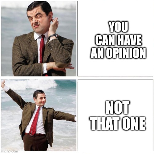 Moderators? | YOU CAN HAVE AN OPINION; NOT THAT ONE | image tagged in mr bean approve-disapprove,brains,smart,not funny | made w/ Imgflip meme maker