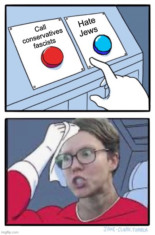 Decisions | Hate Jews; Call conservatives fascists | image tagged in red and blue button,politics lol,memes | made w/ Imgflip meme maker