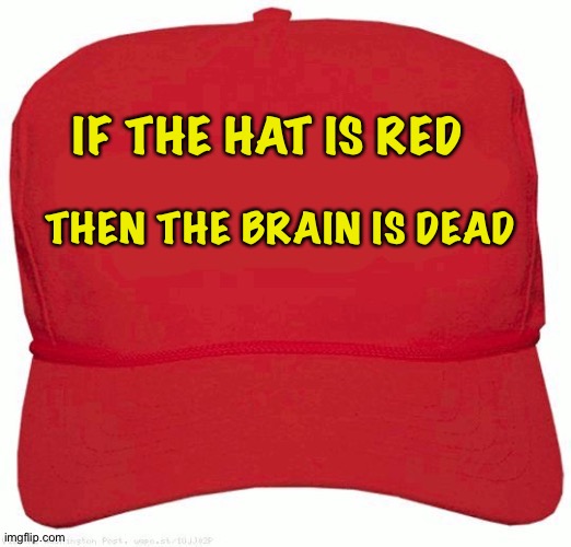 It's all too obvious | IF THE HAT IS RED; THEN THE BRAIN IS DEAD | image tagged in red hat | made w/ Imgflip meme maker