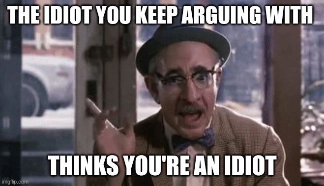 The Paradox | THE IDIOT YOU KEEP ARGUING WITH; THINKS YOU'RE AN IDIOT | image tagged in useful idiot,passionate,i don't really have strong opinions | made w/ Imgflip meme maker