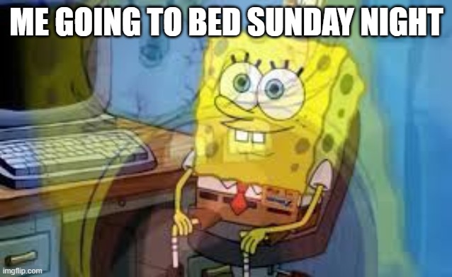 ME GOING TO BED SUNDAY NIGHT | image tagged in so true memes | made w/ Imgflip meme maker